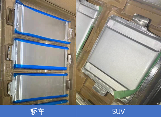 ▲Figure 6. Blade-thick module comprised of two different types of PHEV battery cells