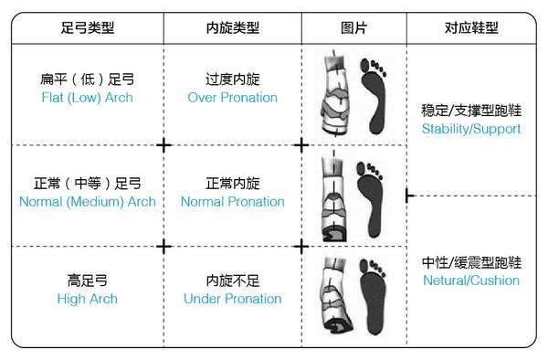 注:图中足弓类型与内旋类型只适用于大部分情况.